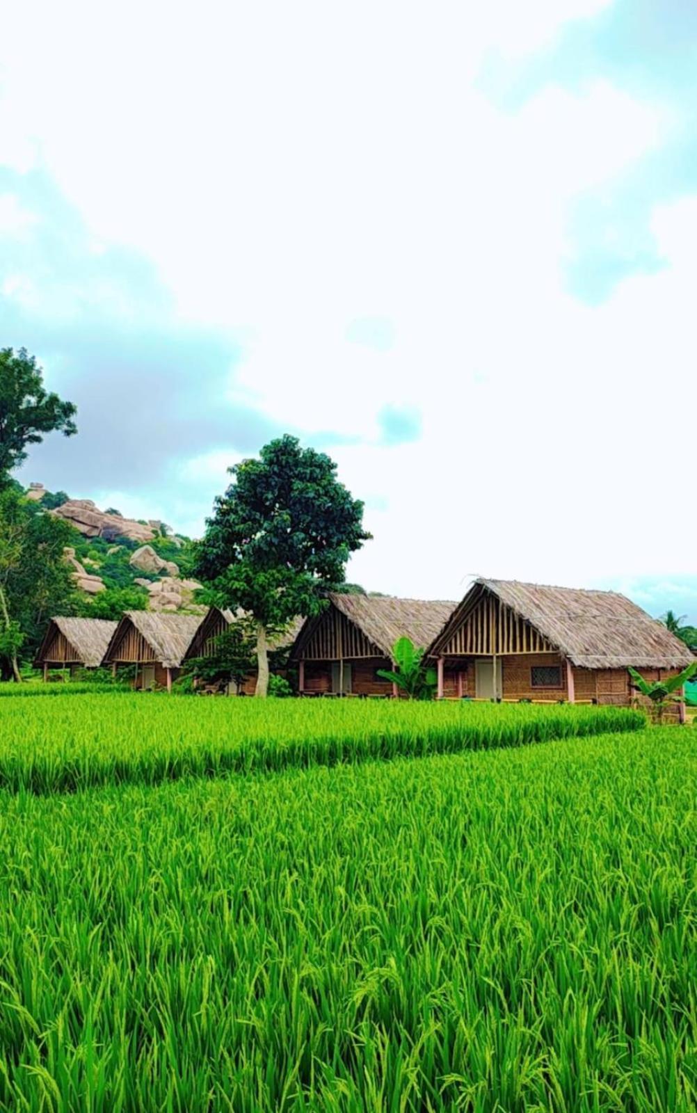 Om Shanti Om Home Stay & Cafe Hampi Ngoại thất bức ảnh