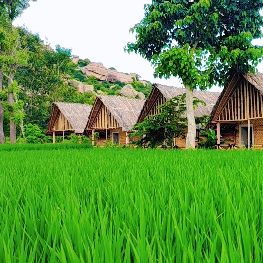 Om Shanti Om Home Stay & Cafe Hampi Ngoại thất bức ảnh